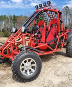 Spyder 300 EFI Buggy Go Kart For Sale