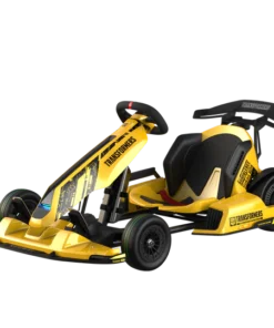 Bumblebee Segway GoKart Pro