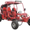 RPS Family Fun 300 Go Kart For Sale