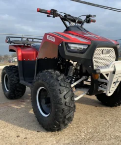 Trailmaster ATV XD 125UF For Sale