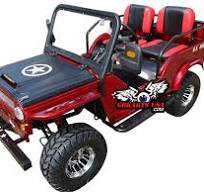 Mini Jeep 125cc Go Kart For Sale